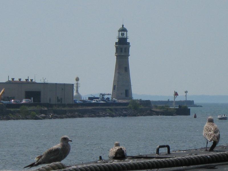 IMG_4892.jpg