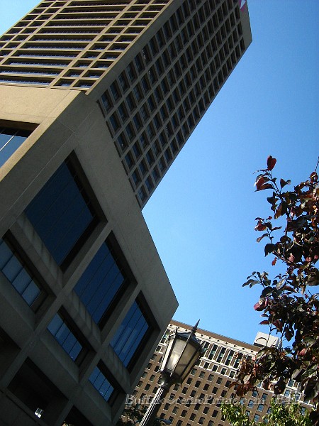 IMG_1392.jpg