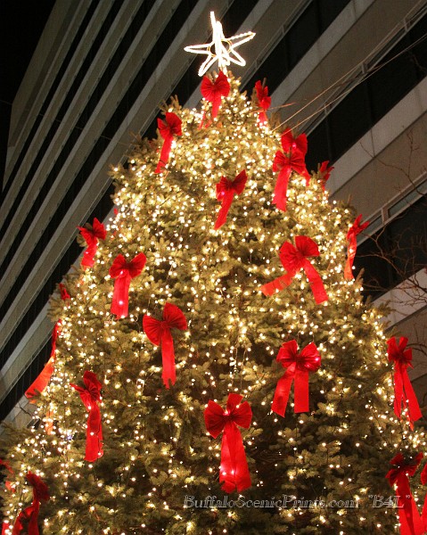 IMG_17910.jpg