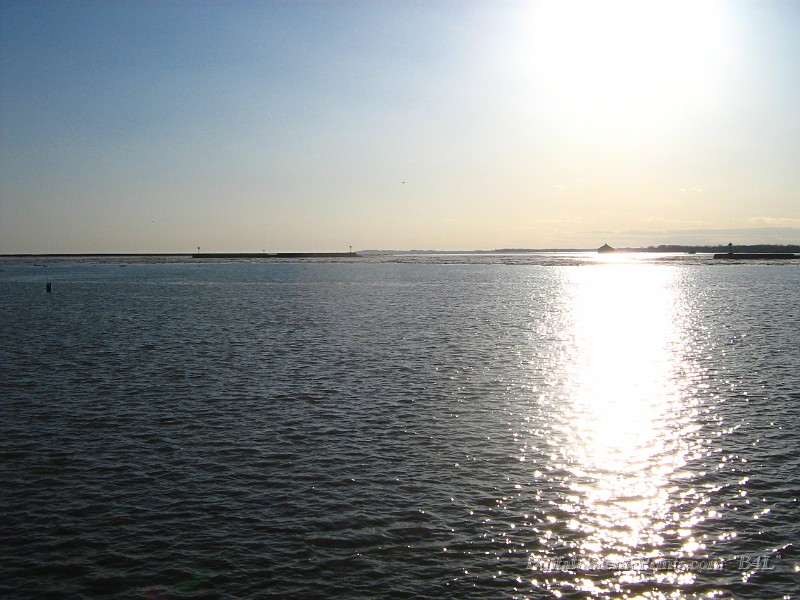IMG_2386.jpg