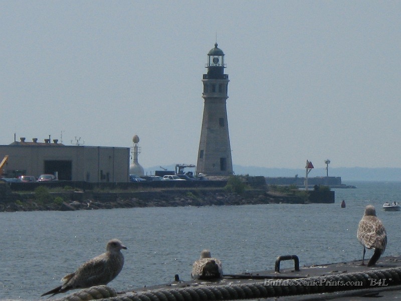 IMG_4892.jpg