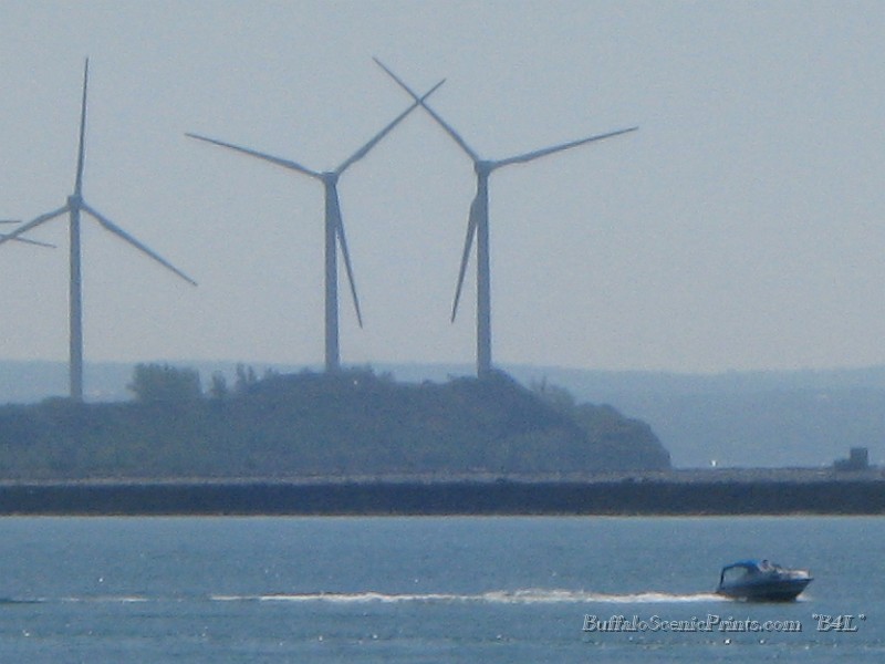 IMG_6336.jpg
