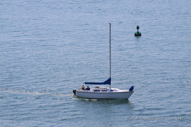 IMG_7848.jpg