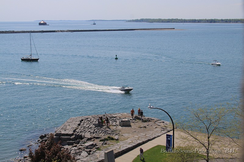 IMG_7868.jpg