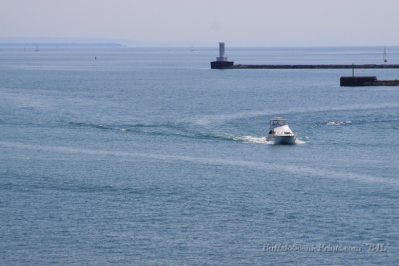 IMG_7869.jpg