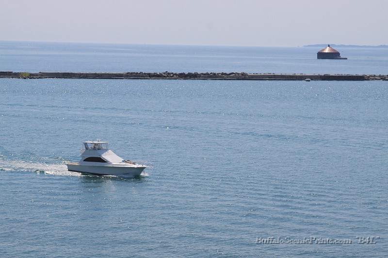 IMG_7882.jpg