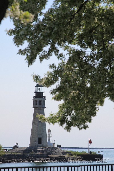 IMG_8132.jpg
