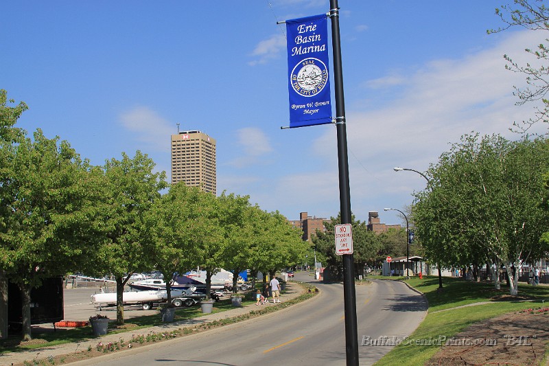IMG_8134.jpg