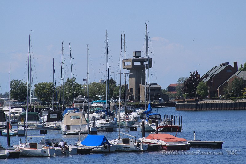 IMG_8439.jpg