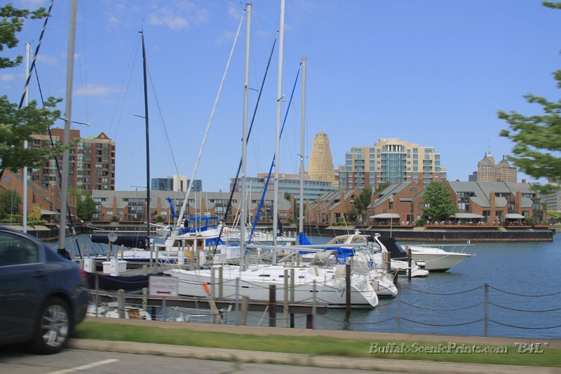 IMG_8454.jpg