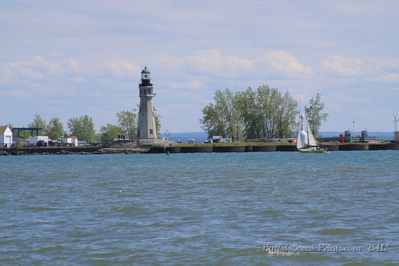 IMG_8493.jpg