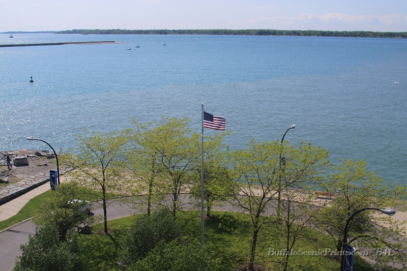IMG_8523.jpg