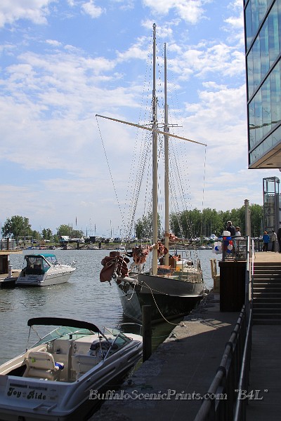 IMG_8642.jpg
