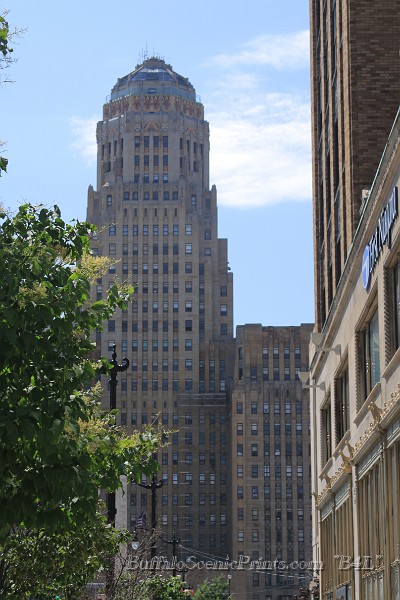 IMG_9817.JPG