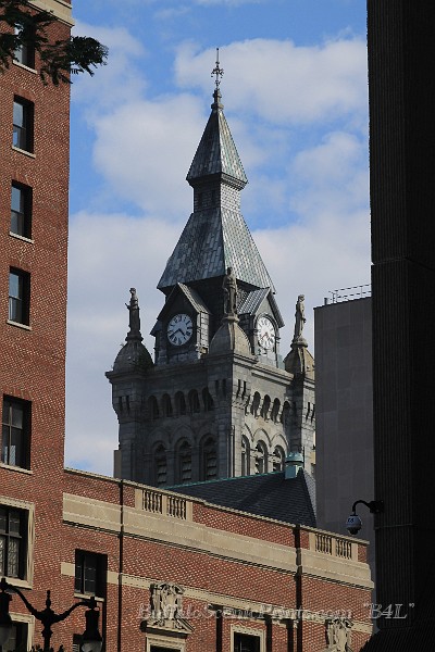 IMG_9927.JPG