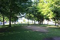 IMG_0234