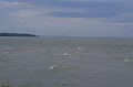 IMG_0652