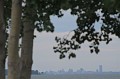 IMG_0679