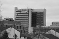 IMG_1106