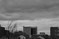 IMG_1108