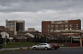 IMG_1110