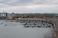IMG_1295