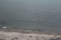 IMG_1308