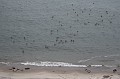 IMG_1309