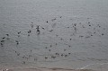 IMG_1311
