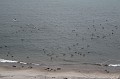 IMG_1312
