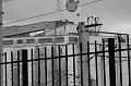 IMG_1382