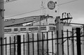IMG_1383