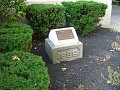 IMG_1460
