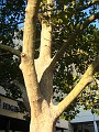 IMG_1461