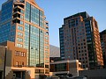 IMG_1649