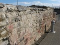 IMG_5189