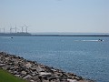 IMG_6335