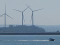 IMG_6336