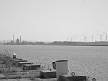 IMG_6392