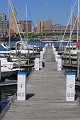IMG_8090