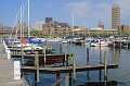 IMG_8091