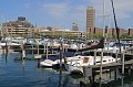 IMG_8093