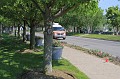 IMG_8118