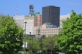 IMG_8295