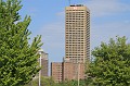 IMG_8323