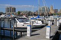 IMG_8328
