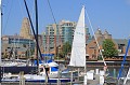 IMG_8330