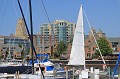 IMG_8331