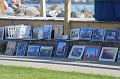 IMG_8350