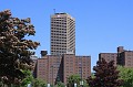 IMG_8424